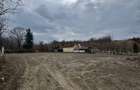 Teren Intravilan - parcelabil - 1.450 mp - Valea Avrigului - 2