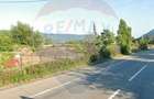 Teren comercial / industrial, de vanzare in zona Portile de Fier 1 - 6