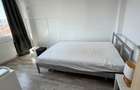 Apartament de 2 camere, 48 mp, pet friendly, centrala, balcon, Herastrau - 5
