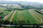 Teren 10,000mp Nemtisor / DJ 155C - 6