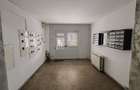 APARTAMENT 2 CAMERE, LANGA PARCUL TINERETULUI, CENTRALA, PARCARE - 10