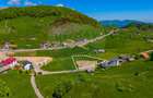 FUNDATA CENTRU | 3.962 mp ASFALT + UTILITĂȚI | Vedere Bucegi - 4