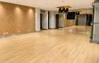 Exclusive Apartment-Penthouse with Lake View Madrigal – Herăstrău Area - 5