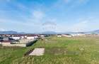 Teren Sanpetru, str Armoniei, 539mp, cu proiect casa si avize in lucru - 4