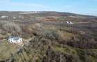 Teren 20.146 mp Dâmbu Rotund (Lomb).Extravilan.Potențial rezidențial - 9