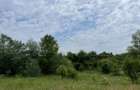 Teren intravilan***1439 mp***Cretesti-Vidra-Ilfov - 9