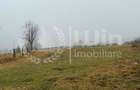 Teren intravilan ideal pentru investitie 1716mp | Front 38m | Marisel - 6
