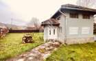 Casa potential turistic si comercial -zona Varfurile - 21