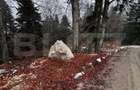 Teren unic, exclusivist  4000 mp, in inima muntilor, Sinaia - 15