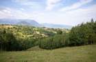 Comision0% Investitie turistica unica - Bran Sohodol 10131mp-Via Transilvanica - 3
