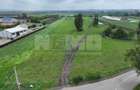 Teren 2648 mp | Strada Francei | Ideal hale sau investitie - 6