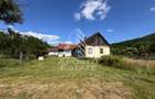 Casa batraneasca cu teren de 3.334mp, in Baia de Cris, Hunedoara - 7