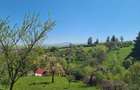 Teren deosebit - 1500 mp, Poiana Angelescu, Str. Livezii - 1