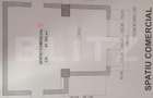 Spatiu comercial, 60 mp, zona Nicolina 2 - 11