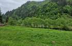 Teren intravilan - Rucar - Satic - 1775 mp - la strada principala - deschidere - 14