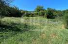 Teren intravilan, suprafata utila 2460 mp, Cojocna - 5