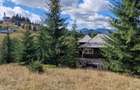 Teren intravilan Piatra Fantanele 17000 mp cu deschidere  DN17
