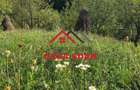 Teren extravilan in Brebu(Pietriceaua)--9104mp--50.000e - 9