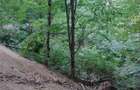 Padure de Fag 2 hectare - 5
