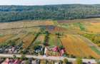 Gospodărie, casă nouă (2024), 170 mp, 6.300 mp intravilan, 0% comision - 26