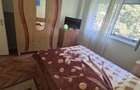 Apartament cu 2 camere, conf 1 semidec in zona Nord  - 15