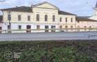 Proprietate tip conac, teren 4468 mp, oras Lipova - 2