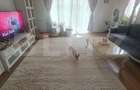 Casa cocheta tip duplex de vanzare in zona spitalului oncologicMedex - 19