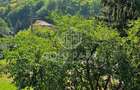 Cabana de vanzare – Somesu Rece-  Zona Turistica- 25 min de Cluj