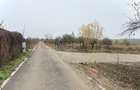 Teren intravilan de vanzare in Snagov – Ciofliceni - 3