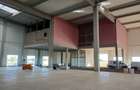 Inchiriere depozit Clasa A - Arad - spatii intre 2.000mp si 12.000mp - 6
