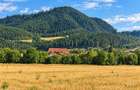 Teren intravilan, regim inaltime P+2E+M,  vedere catre munti, Sacele, Brasov