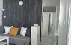 Apartament 1 camera de inchiriat, Zona Centrala - 5