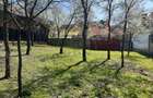 TEREN INTRAVILAN 789 MP -POPLACA - 5