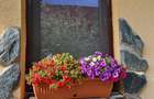 Vand casa 3 camere ARIUSD - 12