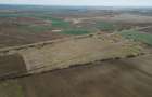 Teren 22.500 mp – Pecica, jud. Arad - 7