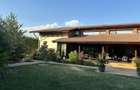 Casa individuala, in Dumbravita, langa padure - 28