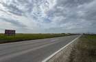 Teren intravilan 5.233 mp, D=16 ml, STRADA PRINCIPALA,zona ONASIS - 12
