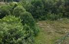 Teren intravilan 3000mp, Regim P+1+M, Sibiu, Tocile - Sadu