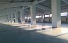 Hală modernă multifuncțională – 1.300 mp –Bucium, Iași- DE ÎNCHIRIAT  - 5