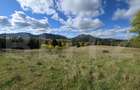 Teren 1,5 hectare - la Piatra Fantanele - 1