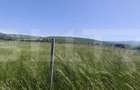 Teren intravilan de vânzare, 2650 mp, zona Valea Jelnei - 1