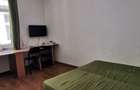 Apartament 1 camera Pet Friendly Calea Motilor - 3