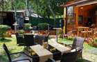 Spatiu  comercial -Parc Herastrau - 8