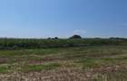 Teren agricol sau zona agrement HALCHIU - langa Lacuri si Balastiera - 5