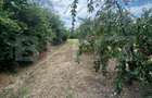 Teren intravilan, 6796 mp, zona Crangurile de Jos - 8