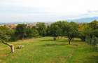 Teren Intravilan 3290 mp Codlea 3 Parcele - 5