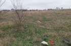 TEREN INTRAVILAN 306 mp – Palazu Mare, Constanta - Ocazie Unica - 3