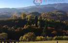 Oportunitate! Teren 10.669 mp în Moieciu de Jos –Natură Pură, Potential Turistic - 4