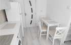 Astra, apartament 2 camere mobilat si utilat, recent renovat - 3