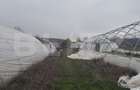 Teren intravilan agricol, sere, anexa agricola, 11500 mp teren, Sopot - 3